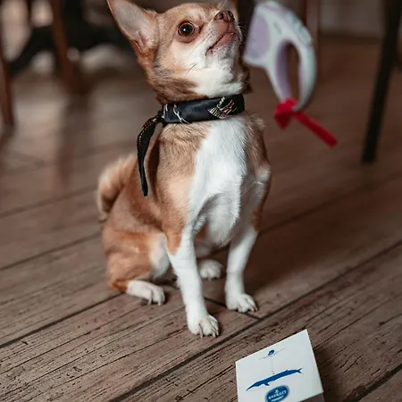 Georges Hostel&café Hotel Sète