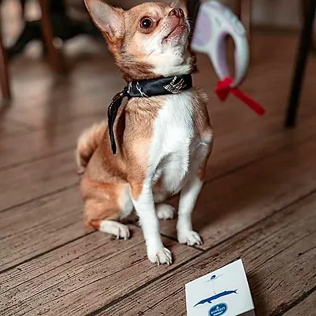 Georges & Cafe מלון